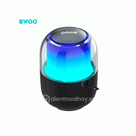 Loa bluetooth Bwoo BS82