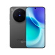 vivo X300